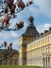 Hauptgebäude der Universität Bonn (Foto: © Frank Luerweg/Uni Bonn)